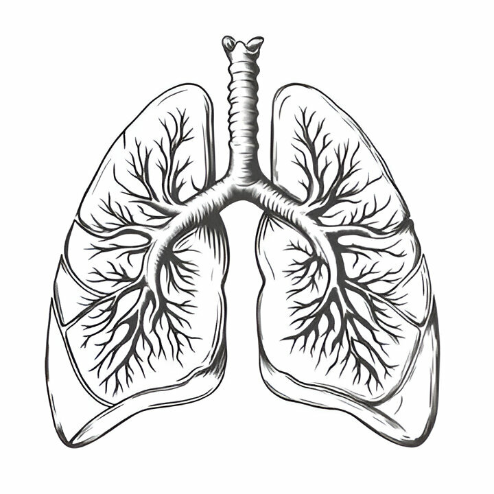 Respiratory Health